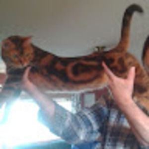 Meet your Posher, Picnic